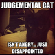 Illustration for article titled Today I wear a judgmental hat